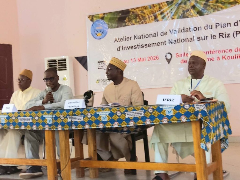 Validation du plan d&rsquo;action d&rsquo;investissement national sur le riz : Cap sur la table ronde des PTF Acrra juin 2026