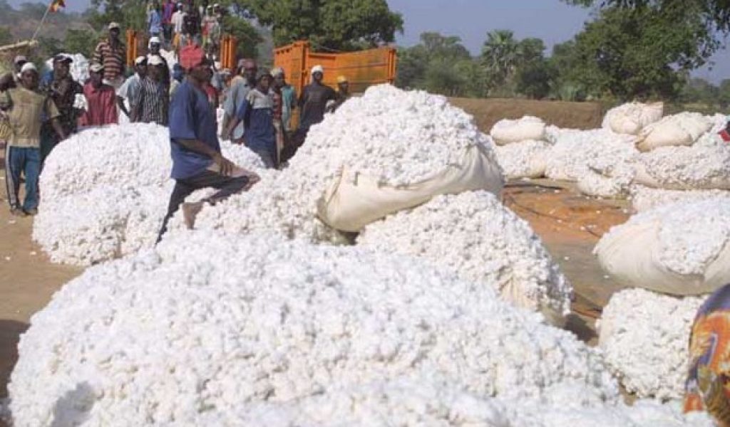 Cotton